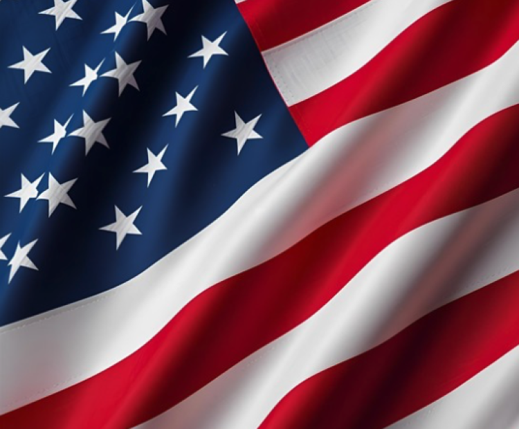 AVS, Veterans Day, American Flag